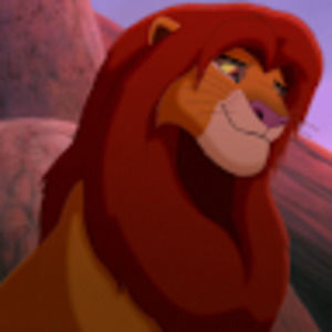 Meet your Posher, Alaina